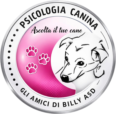 Gli Amici di Billy Asd