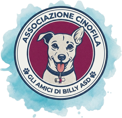 Gli Amici di Billy Asd