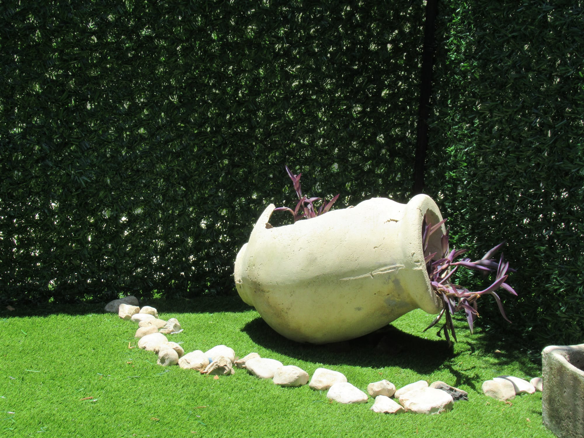 פנינית עילית