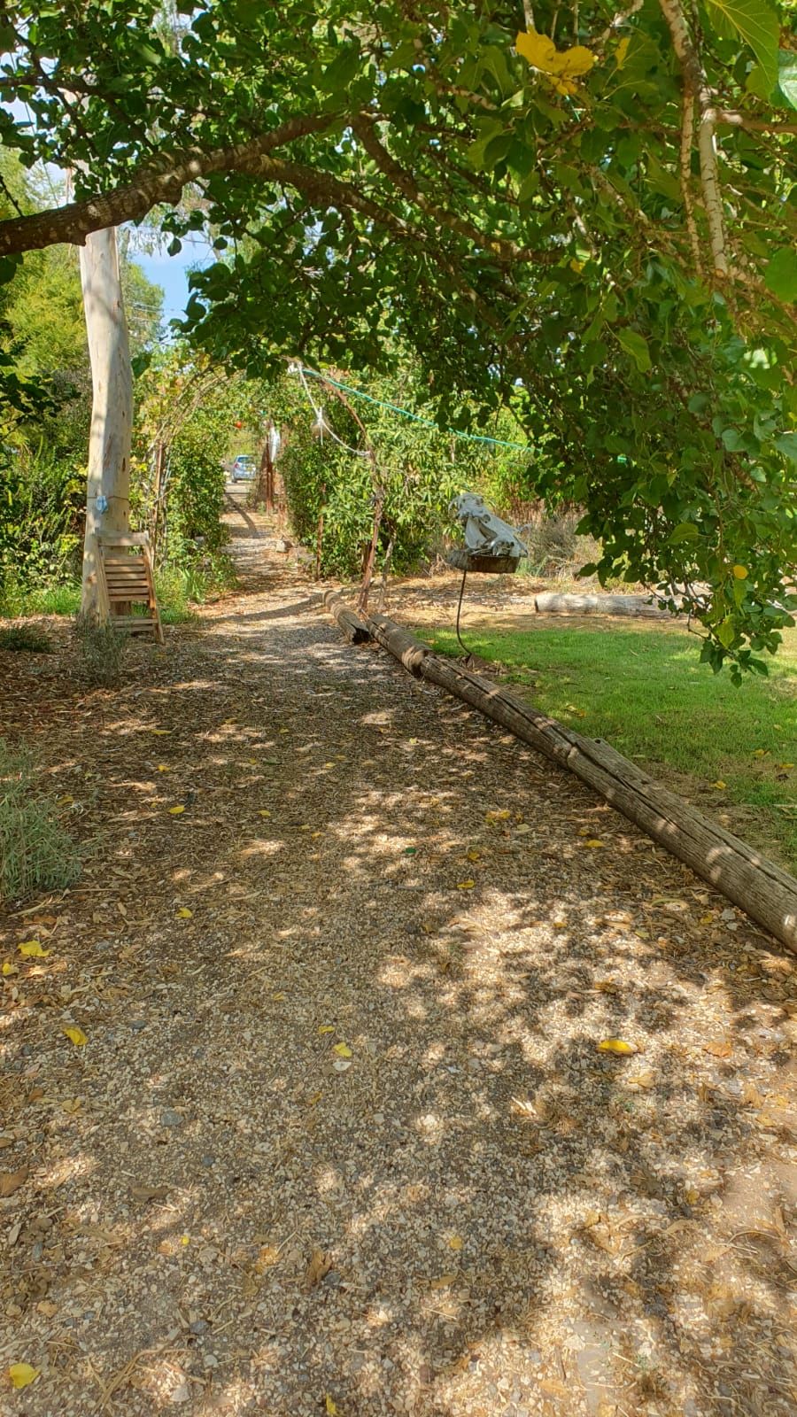 צימר "אצל דוד בכפר" בכפר גדעון