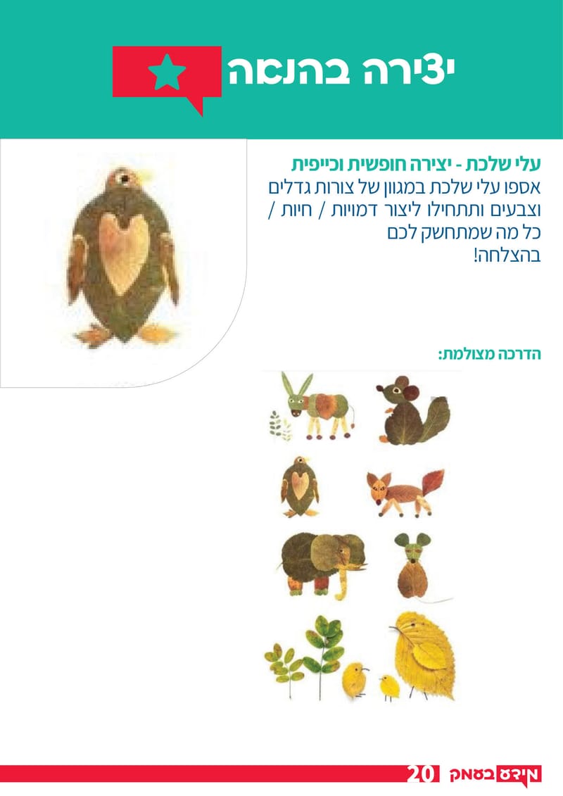 גליון 284