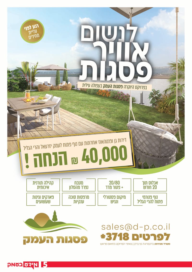 גיליון 293