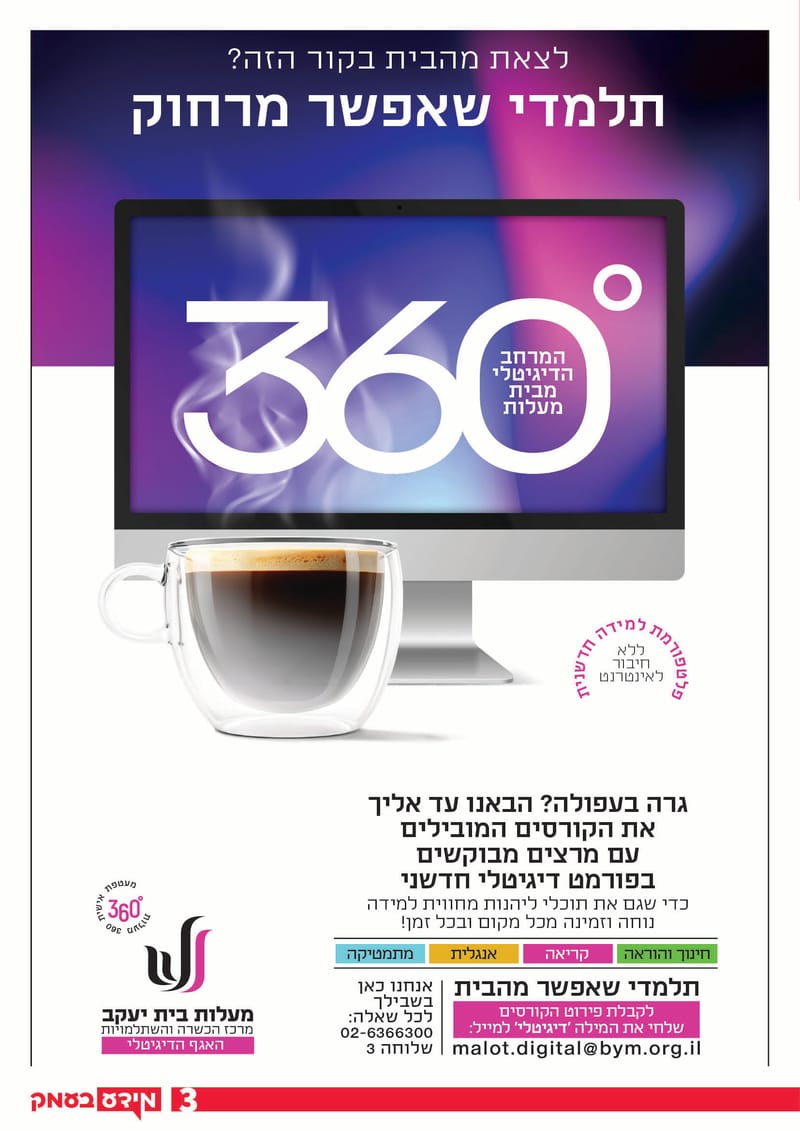 גיליון 291
