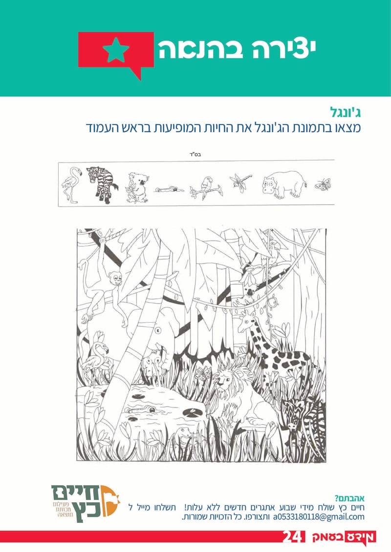 גיליון 291