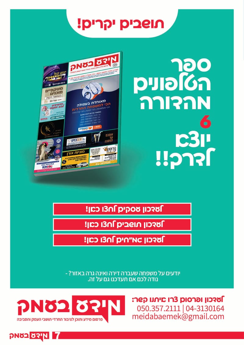 גיליון 290