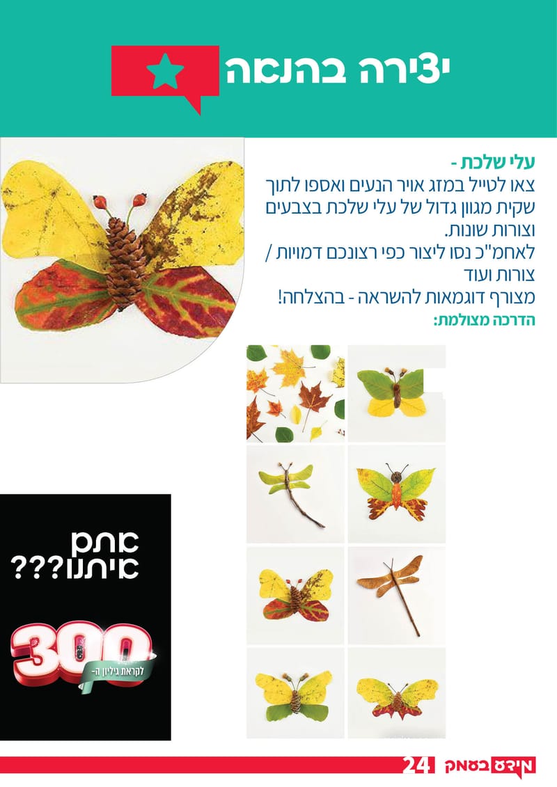 גיליון 286