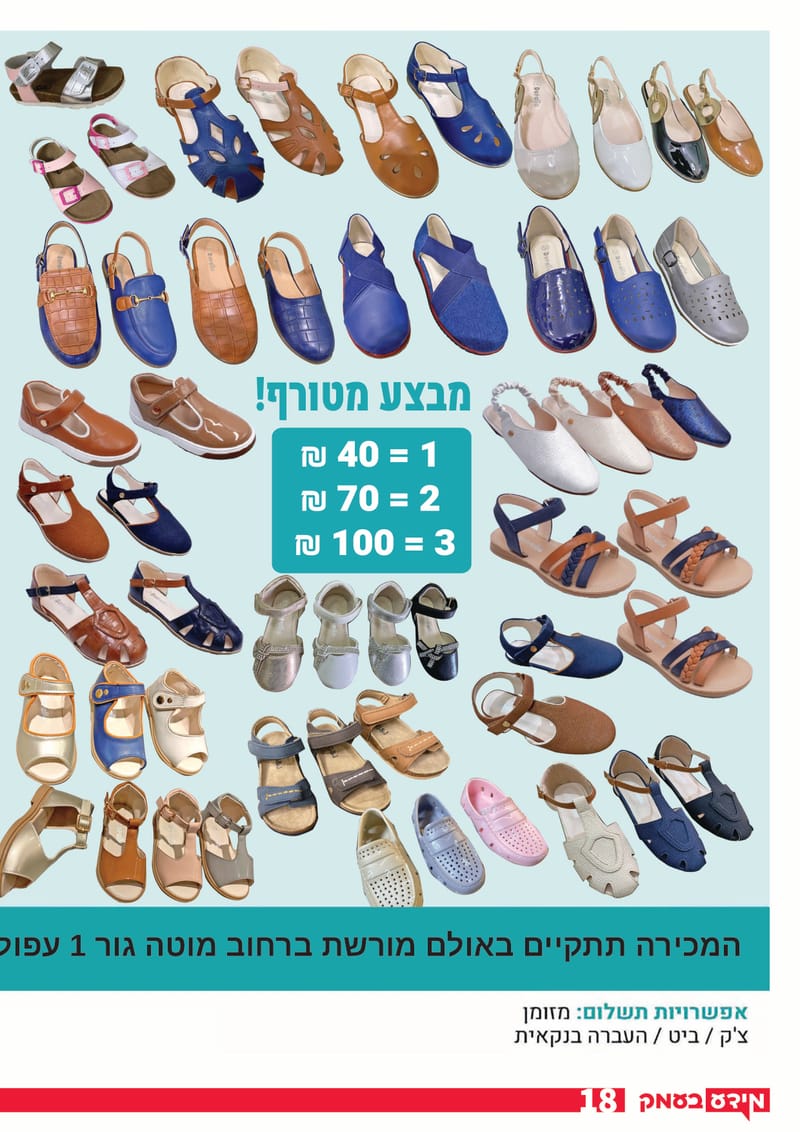 גיליון 313