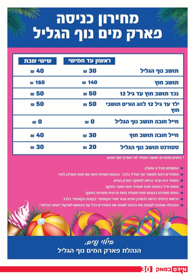 גיליון 313