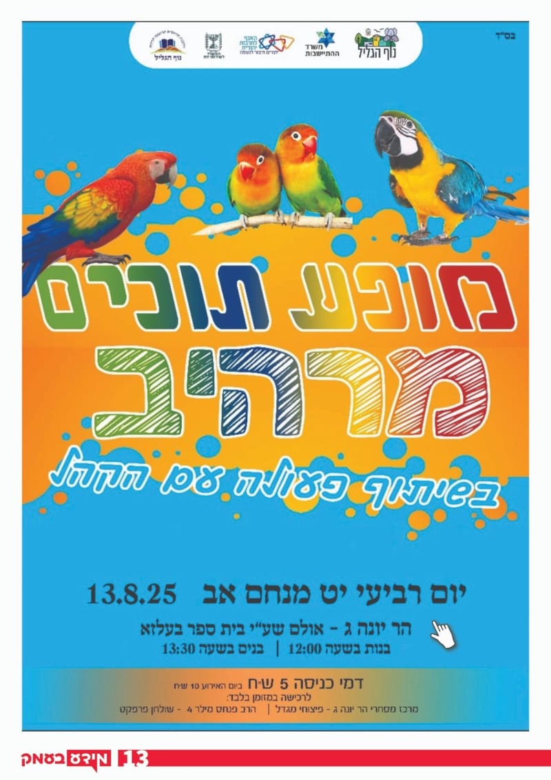 גיליון 316