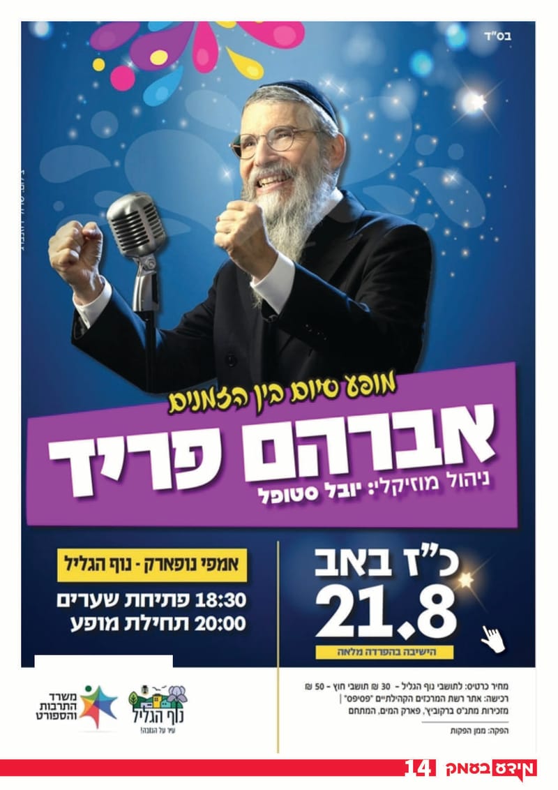 גיליון 317