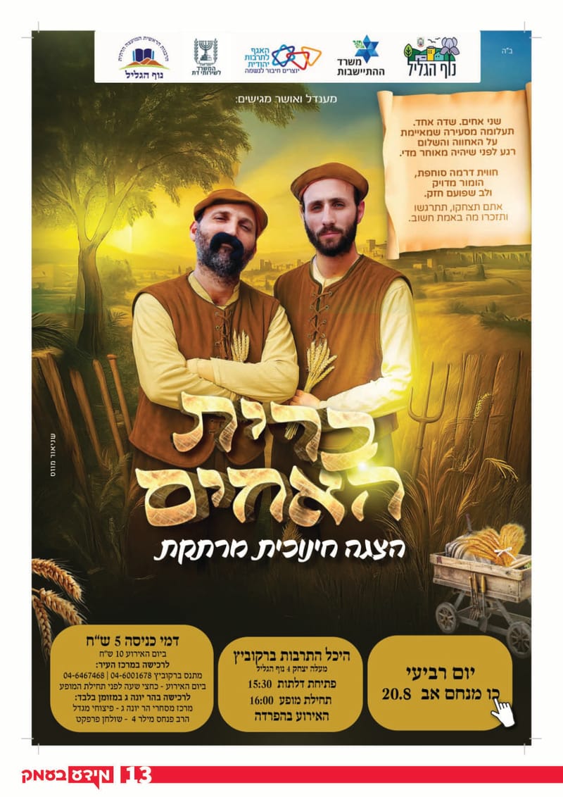 גיליון 317