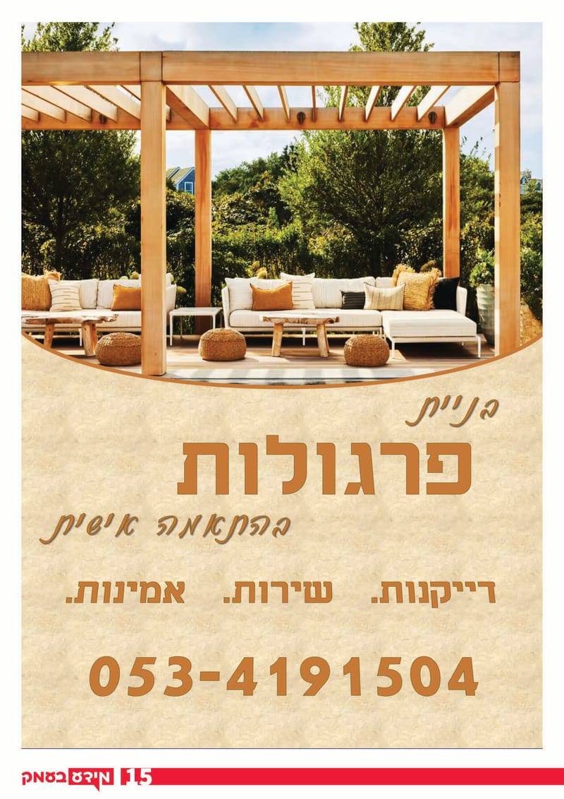 גיליון 317