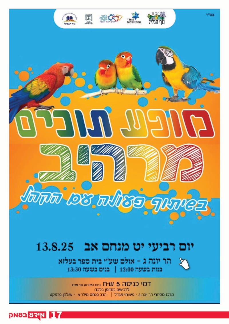 גיליון 317