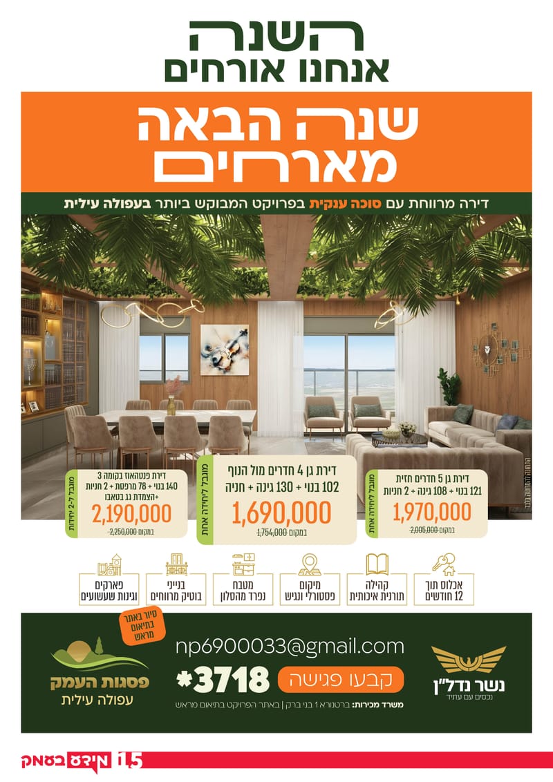 גיליון 323