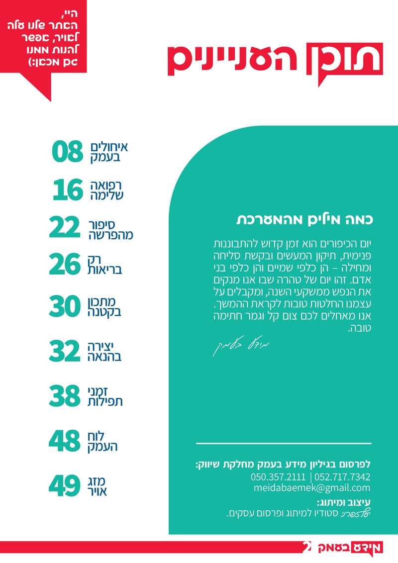 גיליון 325