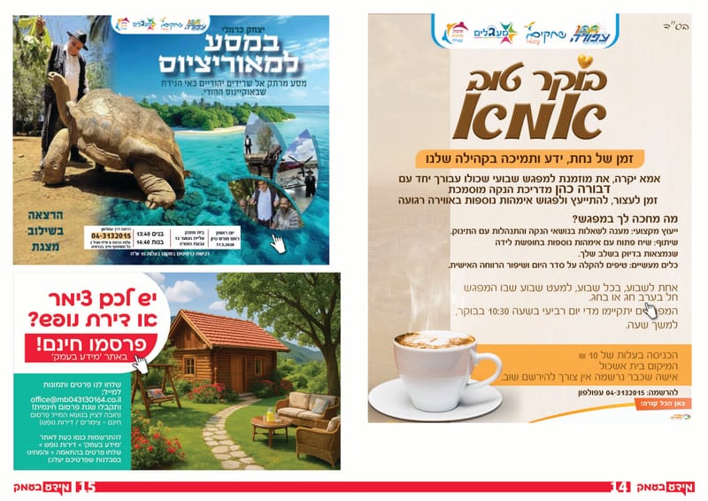 גיליון 351