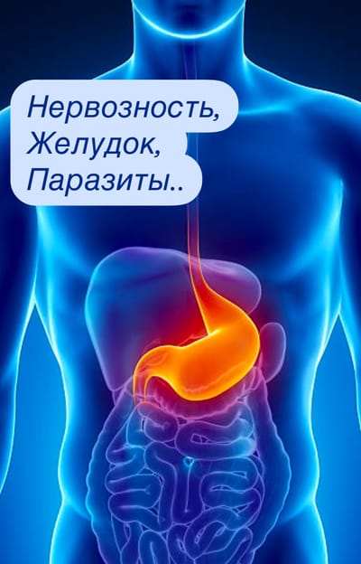 НЕРВОЗНОСТЬ, ЖЕЛУДОК, ПАРАЗИТЫ