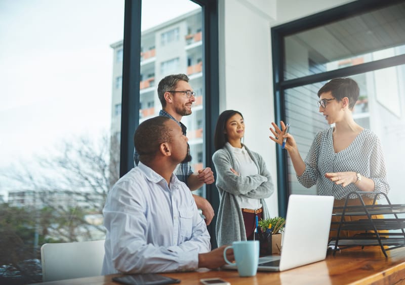 FRACTIONAL PROGRAM AND PROJECT MANAGEMENT SERVICES