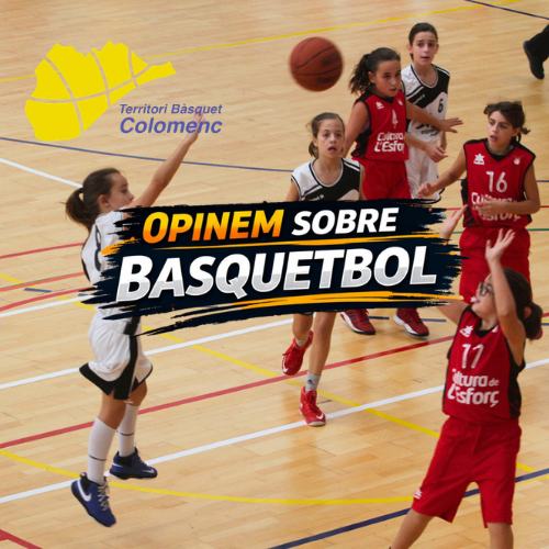 Opinem sobre Basquetbol!: Què són les fases sensibles del desenvolupament?