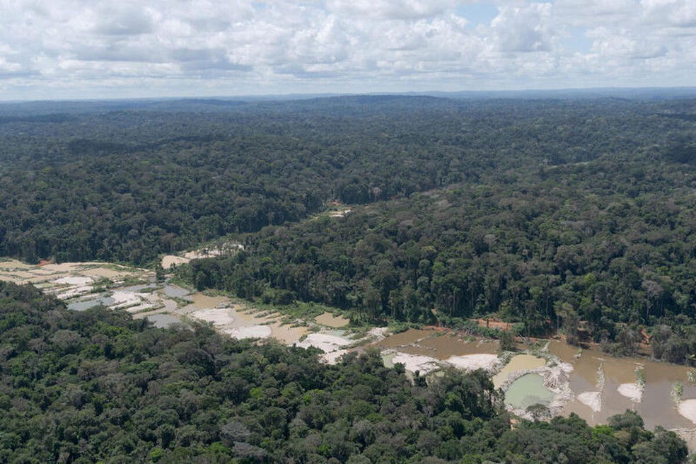 Bacia do Tapajós sob pressão da garimpagem — Foto: Greenpeace Brasil