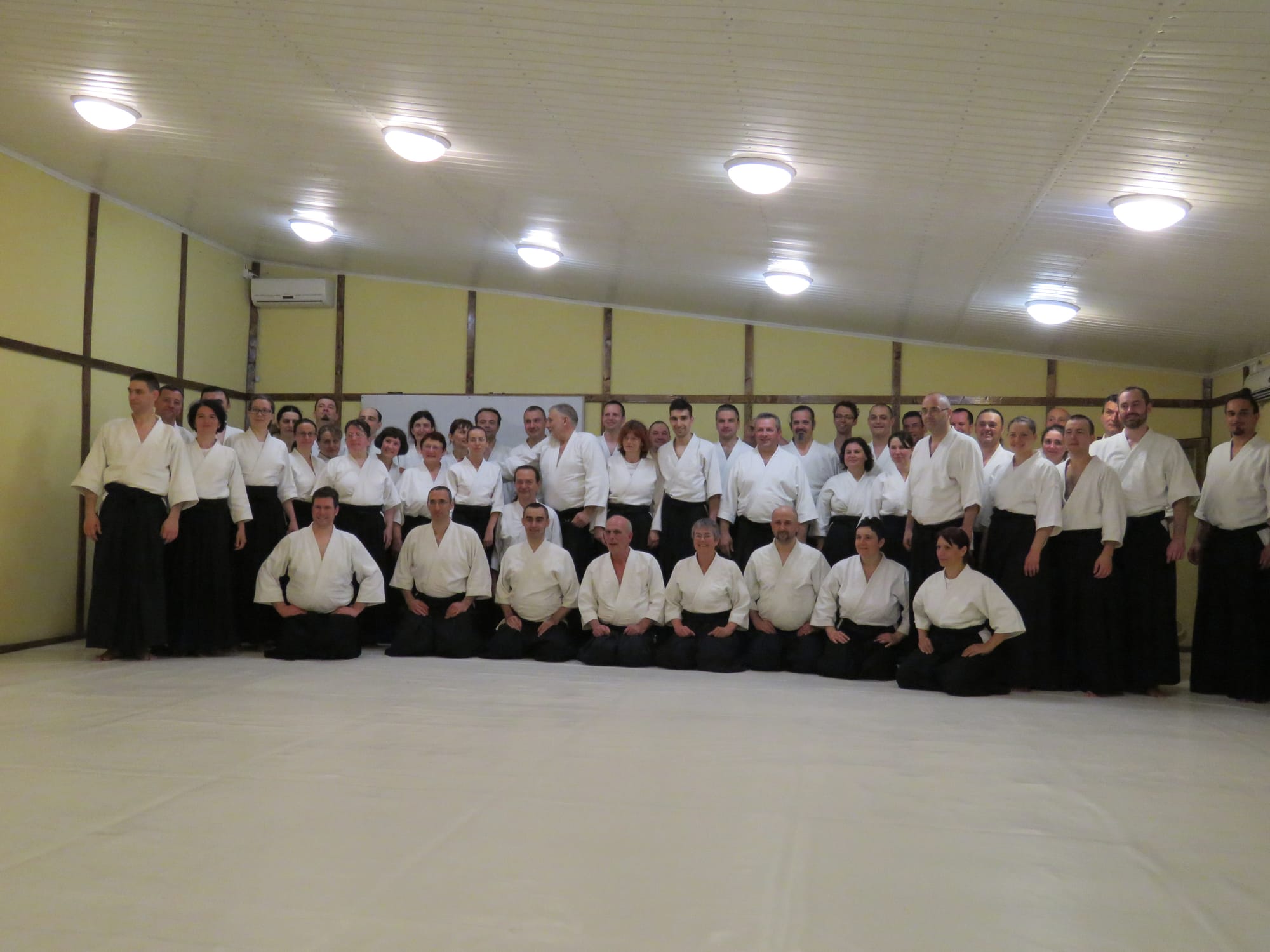 Bucharest Seminar with Mervyn Sensei (Ki School)