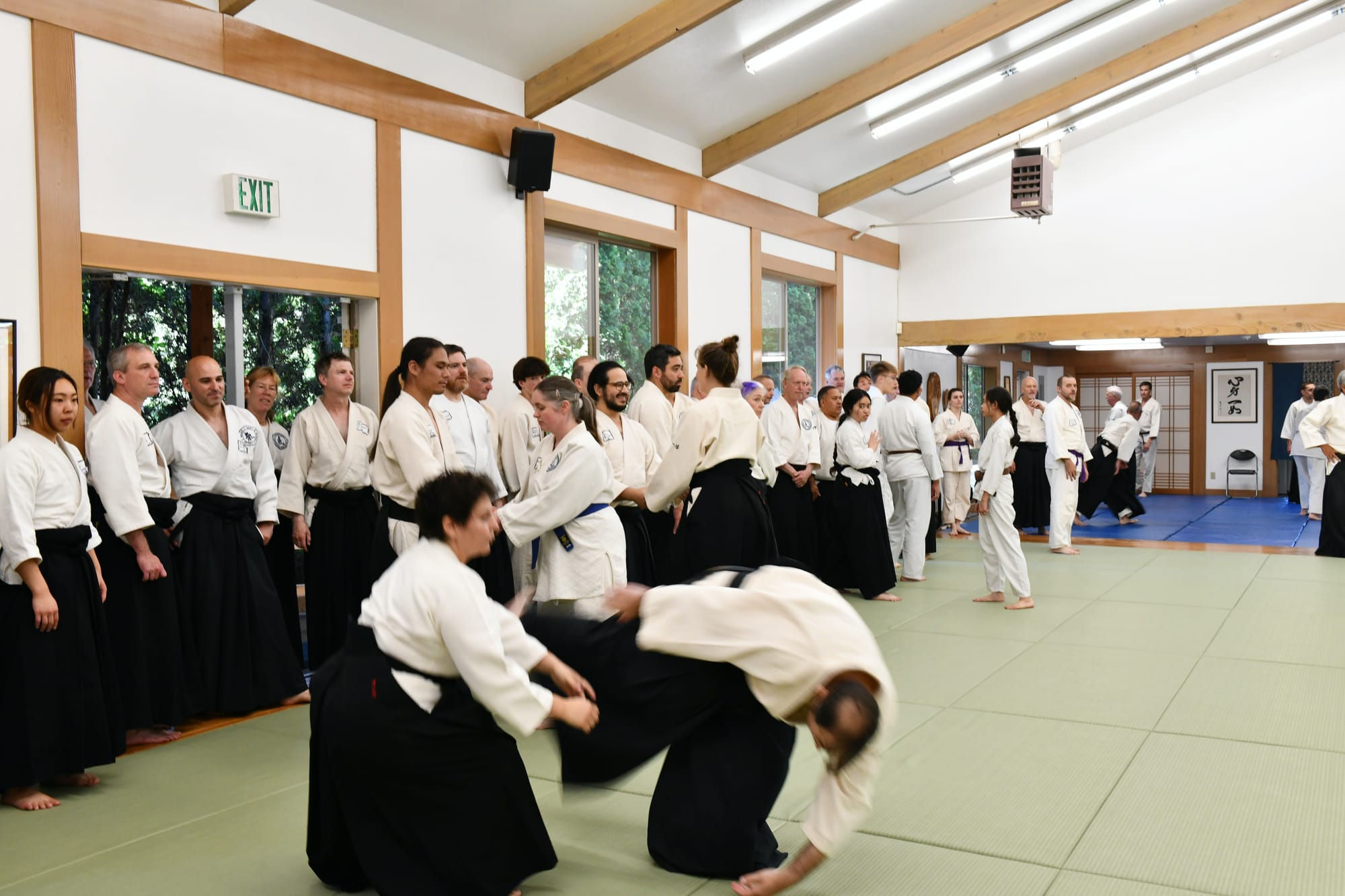 Seminar Portland Tohei Sensei 2026 (group practice)