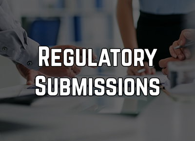 Project Scheduling Techniques for Medical Device Submissions