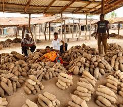 Food Basket of the Nation