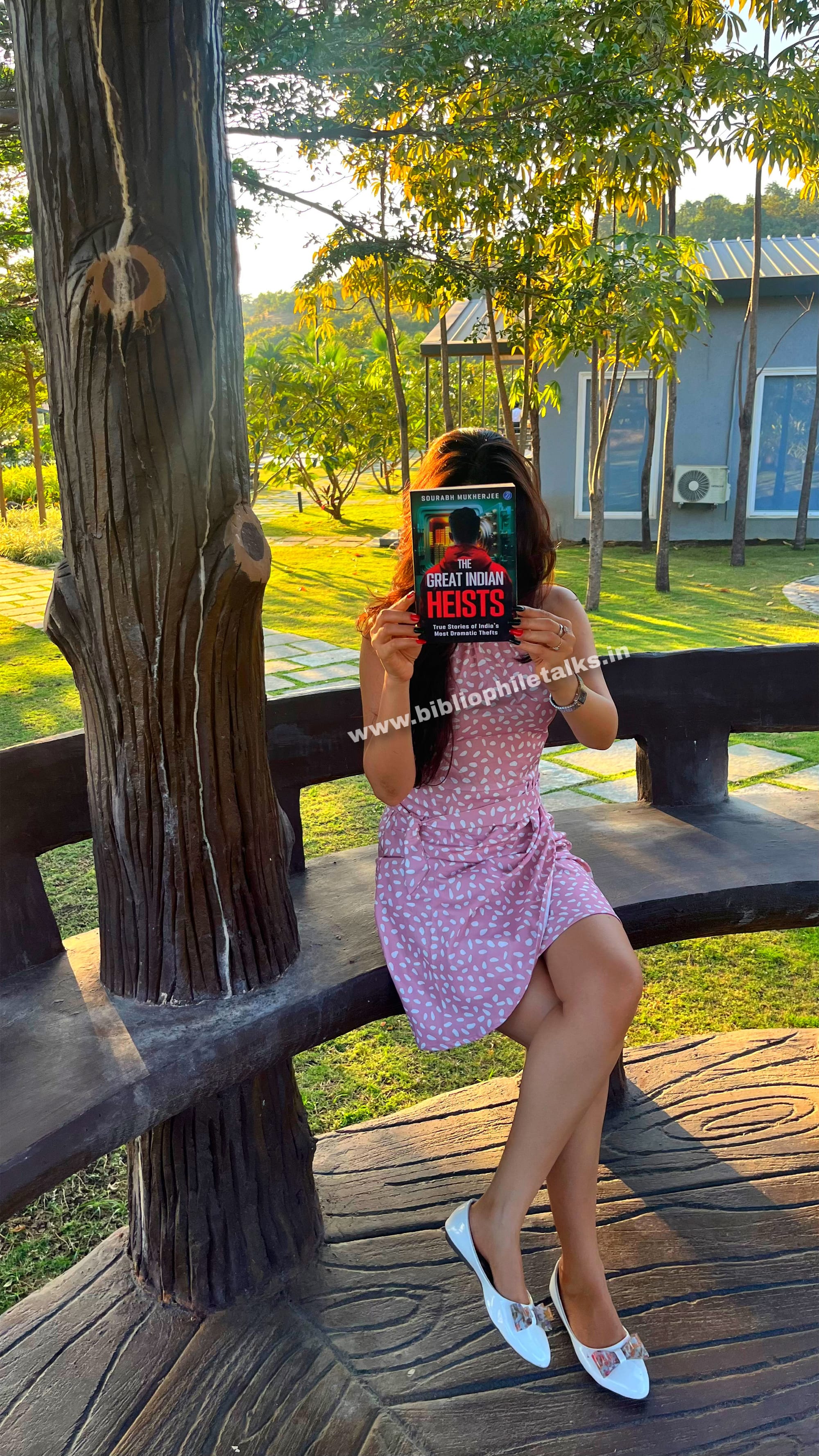 THE GREAT INDIAN HEISTS