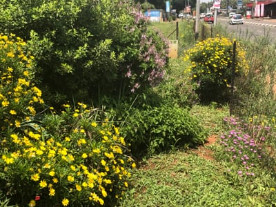 🌿Beautifying Our Spaces – One Garden at a Time