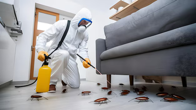 خدمات مكافحة الحشرات والفئران والنمل في أبوظبي: شركة الربوة تقدم الحلول الأمثل