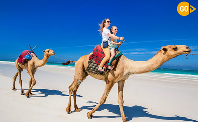 Explore the Wonders of Salalah with the Ultimate Travel Packages: Your Guide to Salalah Holiday Packages, Trip Packages, and More