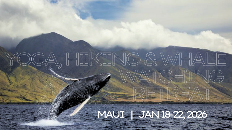 YOGA, HIKING & WHALE WATCHING RETREAT ~ MAUI
