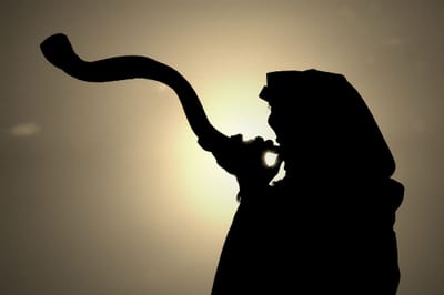 לשחרר את הנפש מכבליה - וורט לפרשת כי תצא