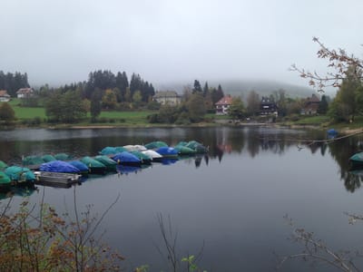 טיול משפחתי ליער השחור – החופשה המושלמת לחגי תשרי!