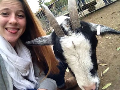 לקראת טיולי הפסח והקיץ - איך מתכננים טיול?