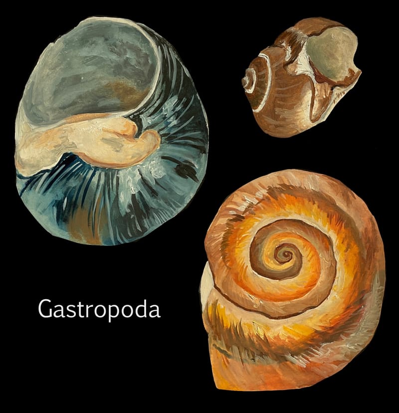 ♫ Chayn Gang - Twit One