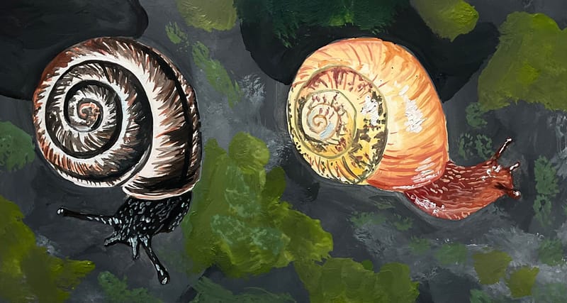 ♫ Chayn Gang - Twit One