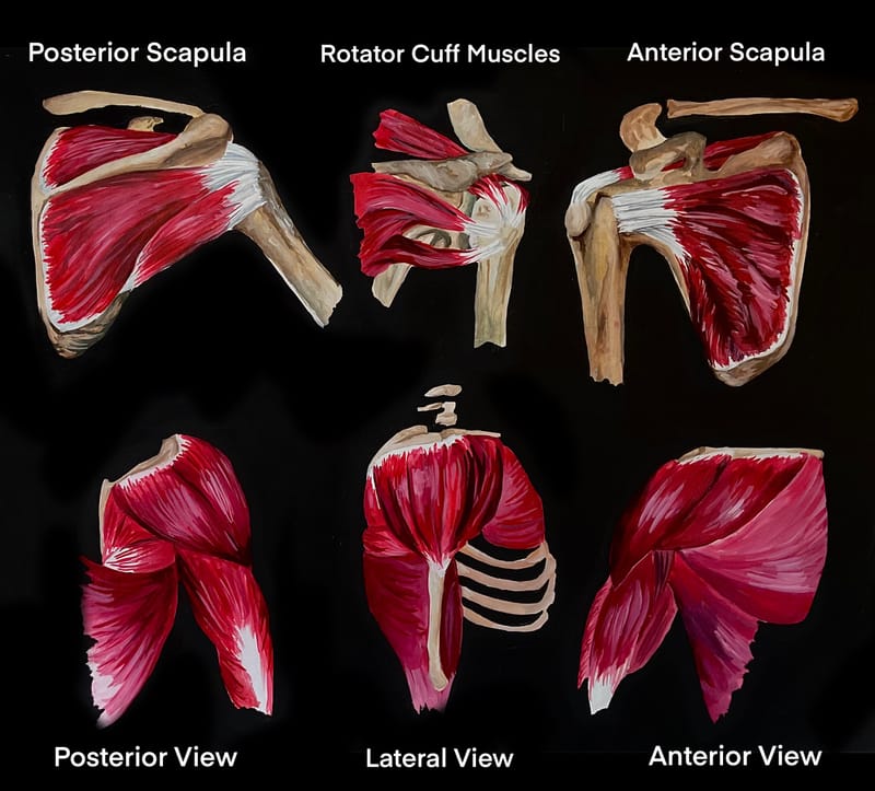 ♫ Chayn Gang - Twit One