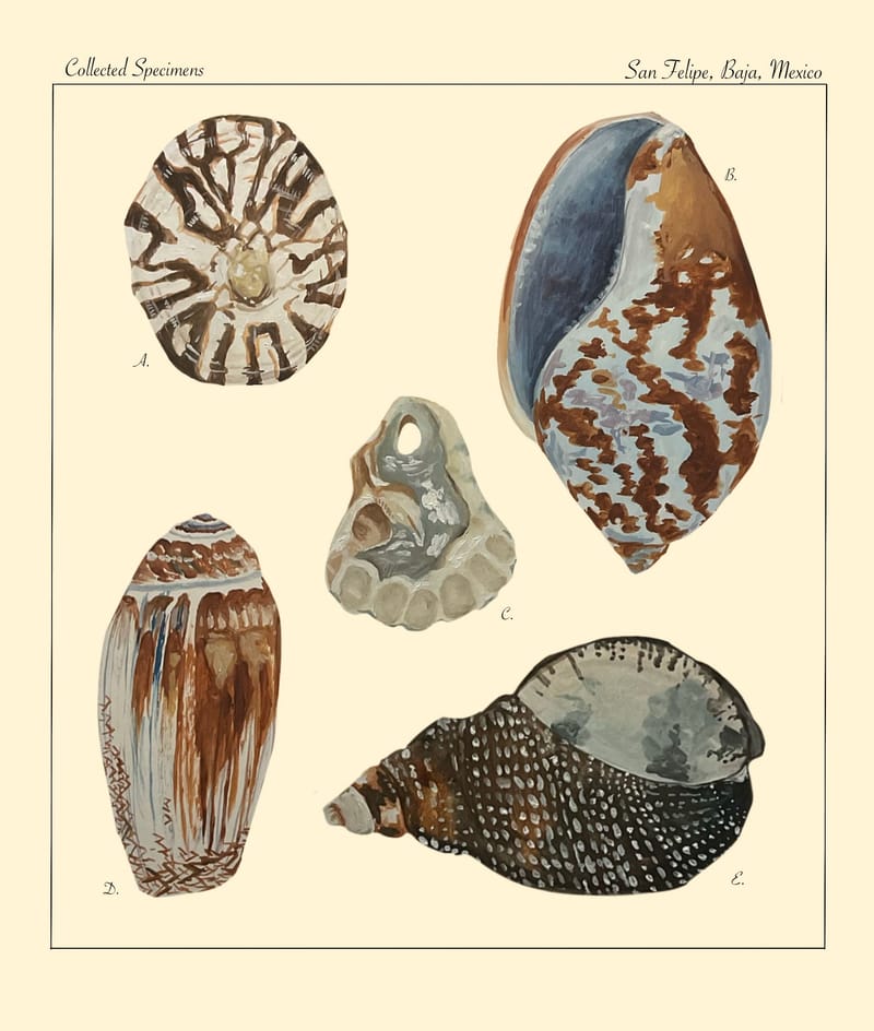 ♫ Chayn Gang - Twit One