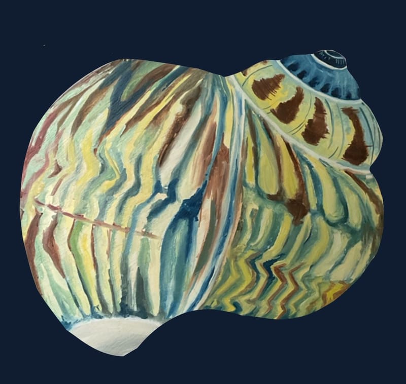 ♫ Tiramusu Fraise - La Fine Equipe