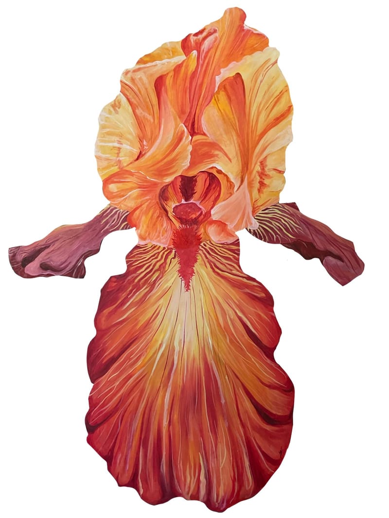 ♫ Tiramusu Fraise - La Fine Equipe