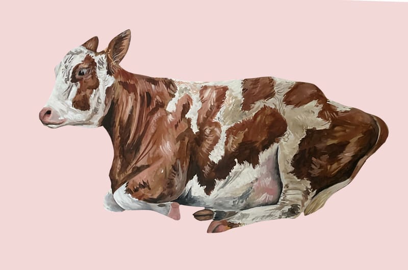 ♫ Tiramusu Fraise - La Fine Equipe