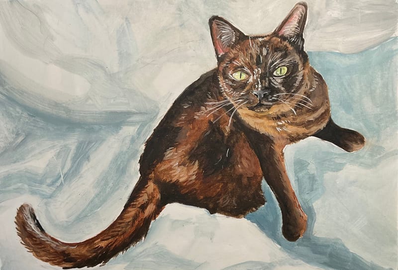 ♫ Moonsmoke - Caamp