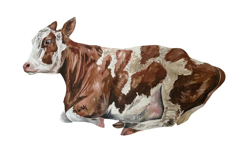 ♫ My Tears Are Becoming A Sea - M83