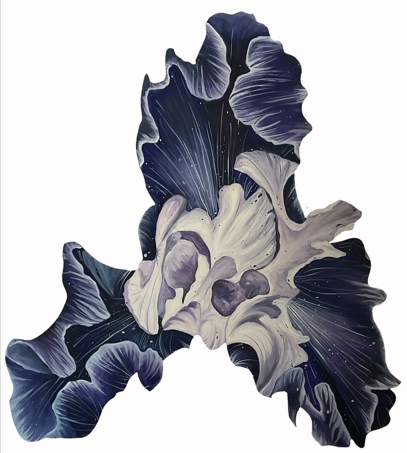 ♫ My Tears Are Becoming A Sea - M83