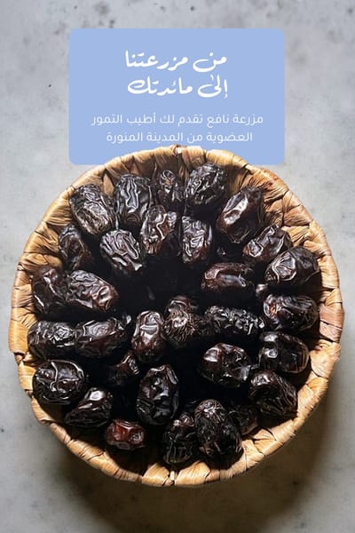 تمور المدينة المنورة بالجملة: جودة العجوة الطيبة وأصالتها التاريخية