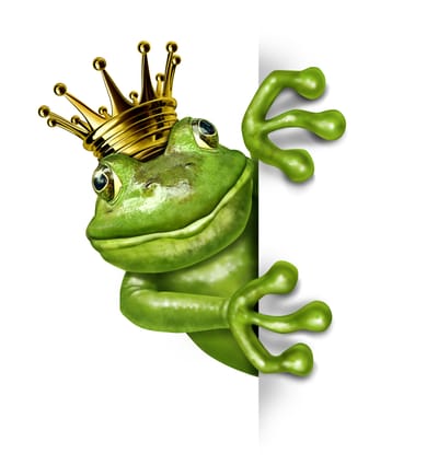 Aktuelles image