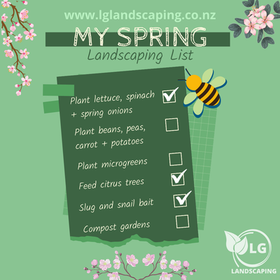 Spring Bucket List
