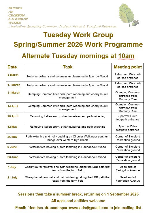 Work Programme for alternate Tuesday Work Group - Summer 2026